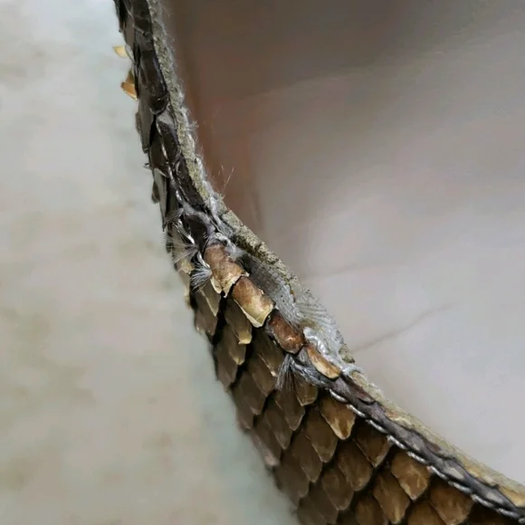 Stuart Weitzman Snake Skin Pumps size 8.5AA/Narrow - Picture 10 of 10